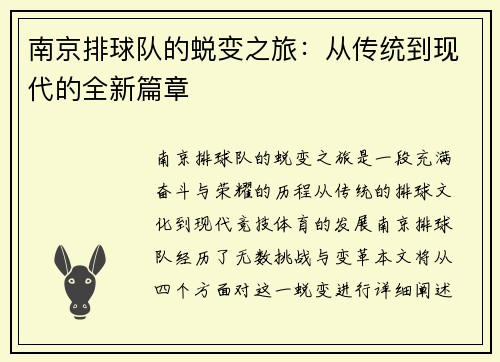 南京排球队的蜕变之旅：从传统到现代的全新篇章